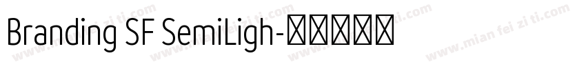 Branding SF SemiLigh字体转换